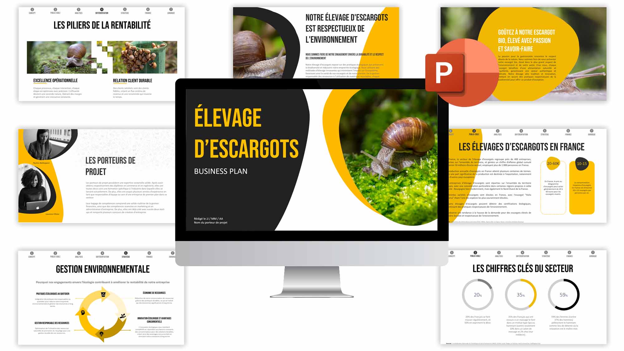  levage D Escargots Business Plan Exemple R dig T l charger PDF 